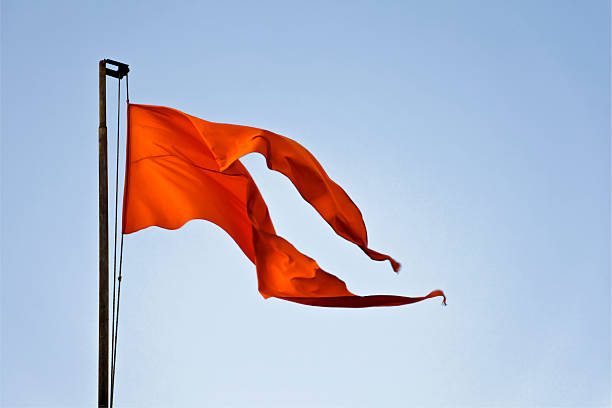 राम मंदिर भूमिपूजन को लेकर व्यापारियों में उत्साह, हर जगह लहराया केसरिया ध्वज - Total Tv