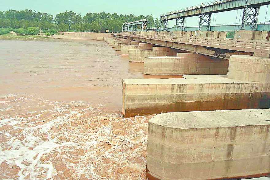 Haryana Latest News Hindi: सिरसा के घग्गर नदी में जल स्तर बढ़ने से ग्रामीणों की..