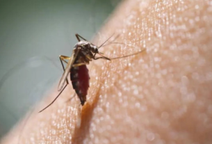 Dengue in Delhi, राजधानी दिल्ली में बढ़ा डेंगू का कहर, अबतक दर्ज हुए 20 मामले....