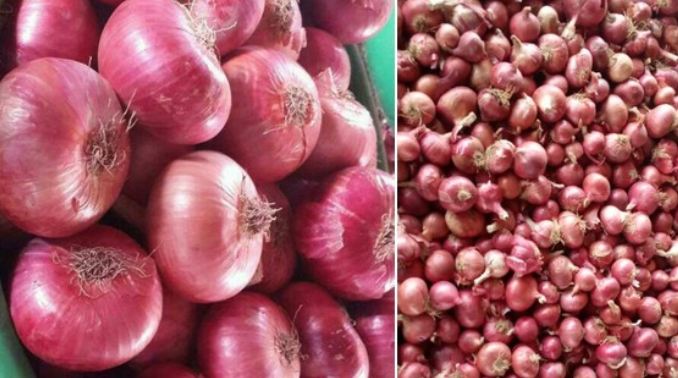 Mandi Bhav: Farmers are crying tears of onion, they will be shocked by the price of onion in the market.