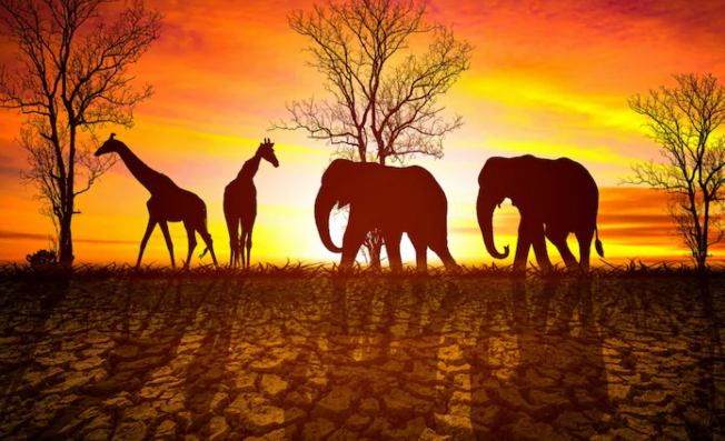 climate-change-will-these-species-become-extinct-due-to-climate-change-know-who-is-at-greater-risk-climate-change-latest-news-climate-change-latest-study-today-temprature-weather-forecast-toda